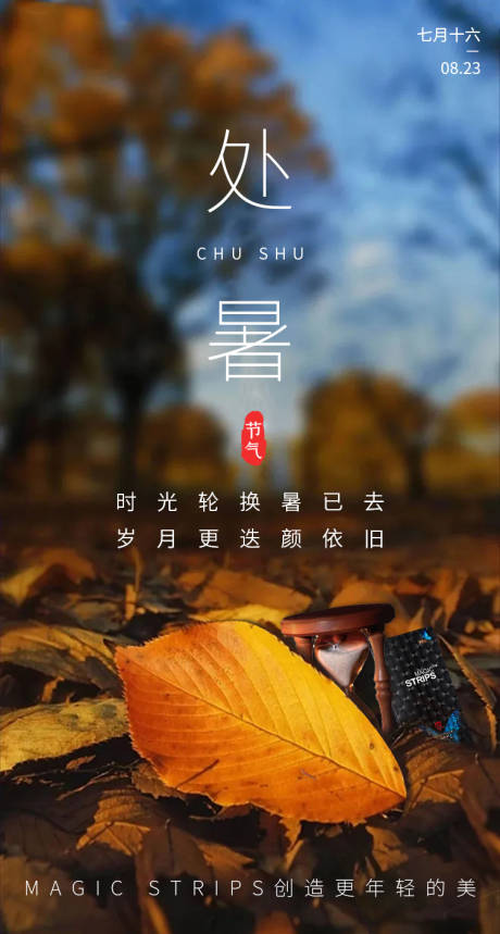 源文件下载【处暑节气海报】编号：33840005904494870