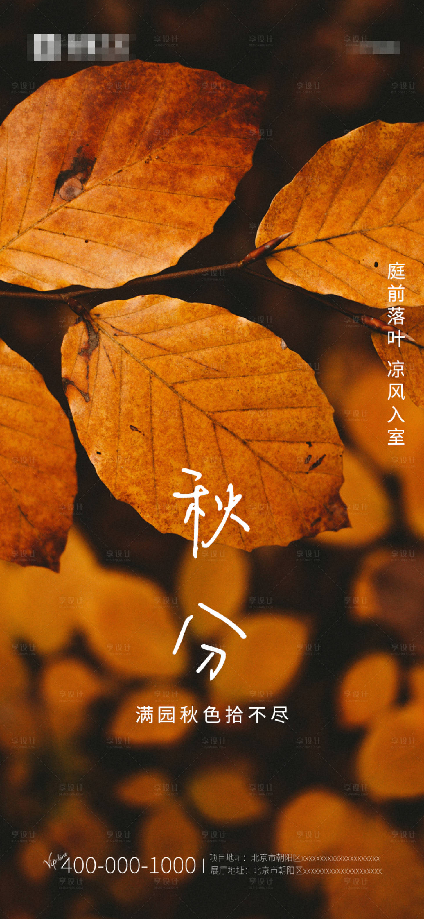 源文件下載【享設(shè)計】搜索編號：90650006047121632【秋分海報】
