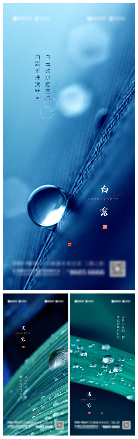 源文件下载【白露寒露节气创意稿】编号：98230006225855331