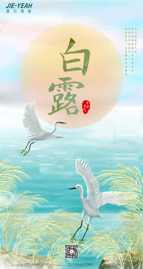 源文件下载【白露海报】编号：83320006265475290