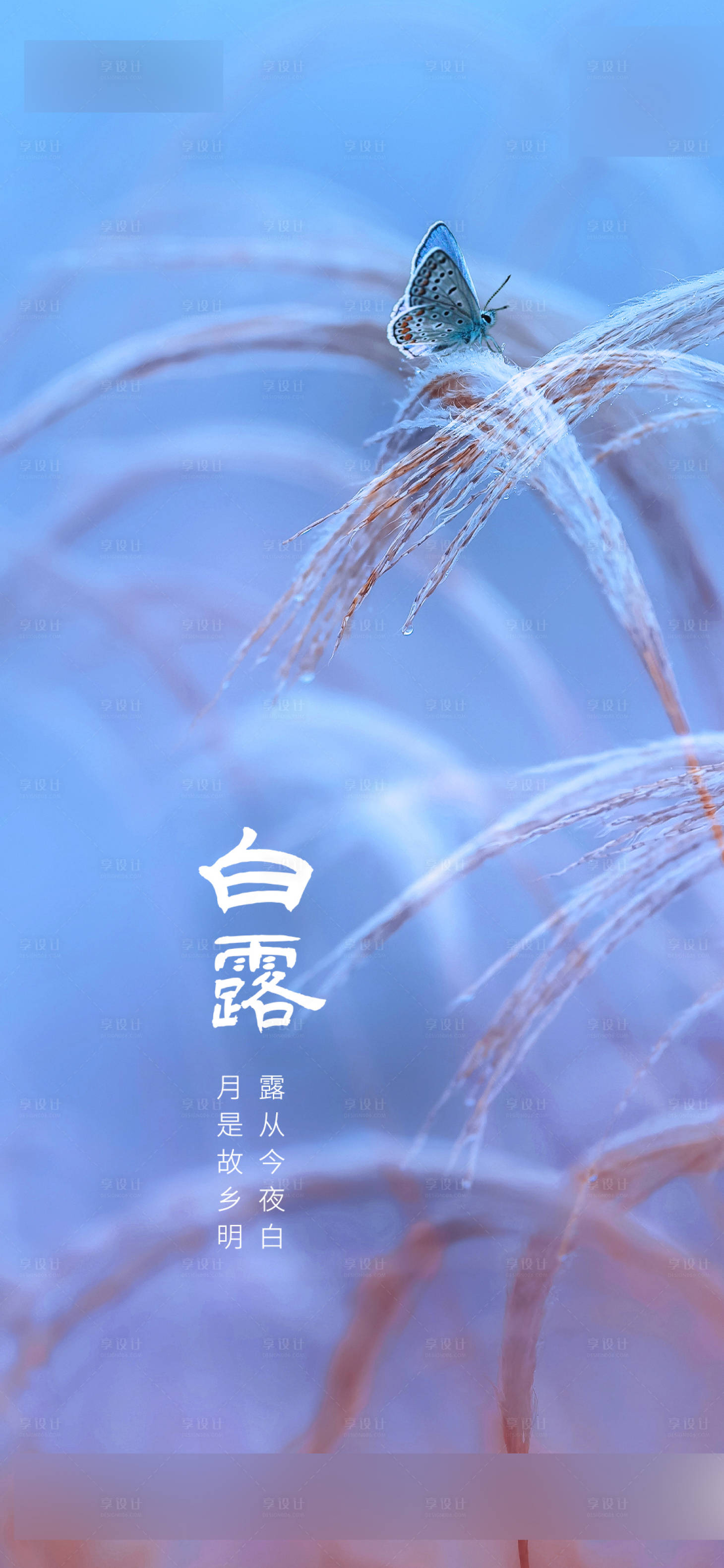 源文件下載【享設計】搜索編號：75350006136804603【地產白露】