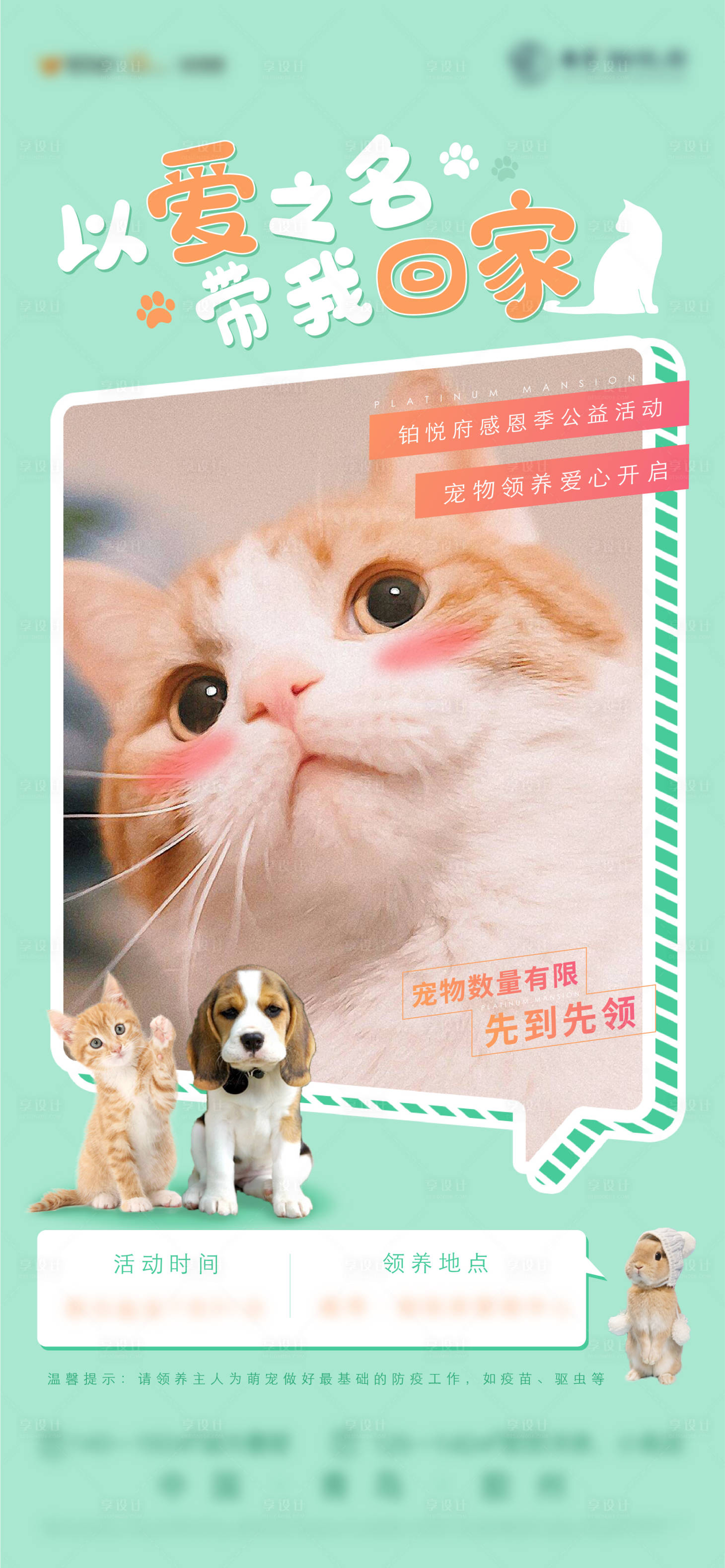 源文件下载【享设计】搜索编号：74740006185192005【宠物活动】