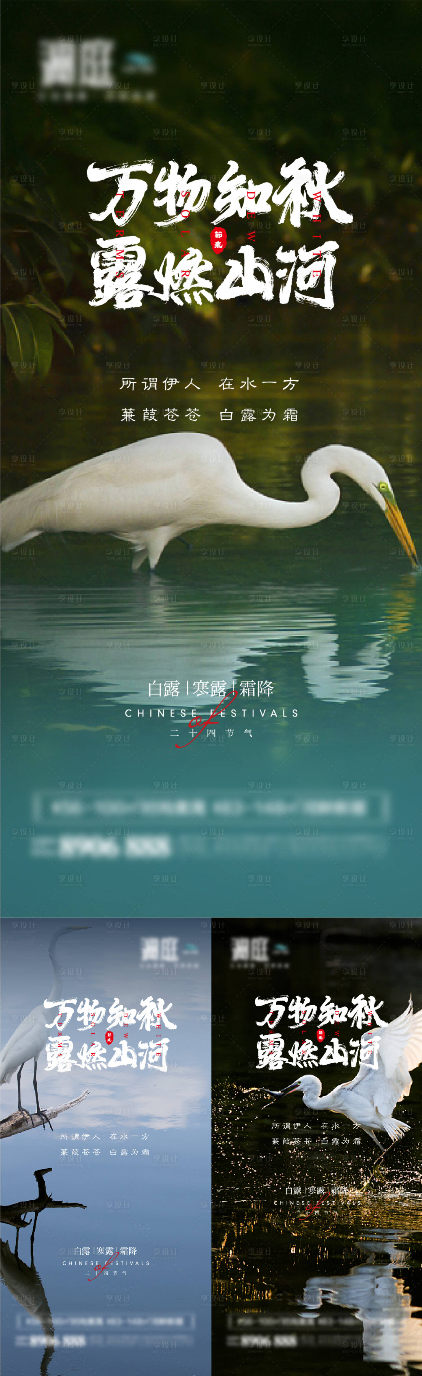 源文件下载【白露寒露霜降节气系列海报】编号：44390006020967068
