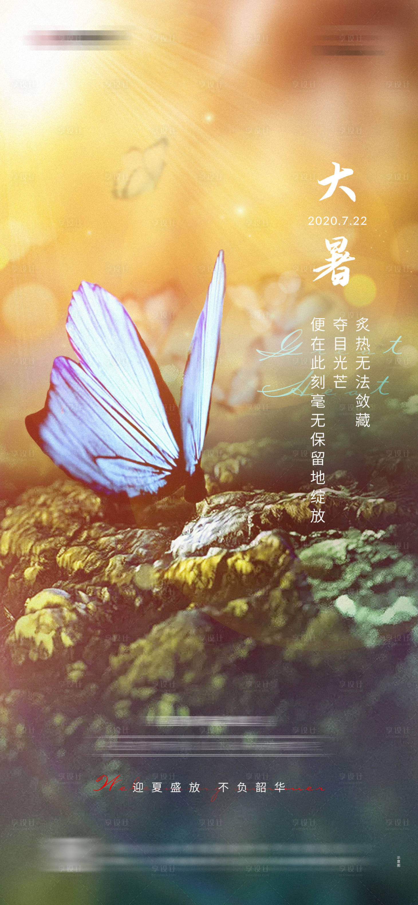 源文件下载【地产二十四节气大暑海报】编号：87670006125144281