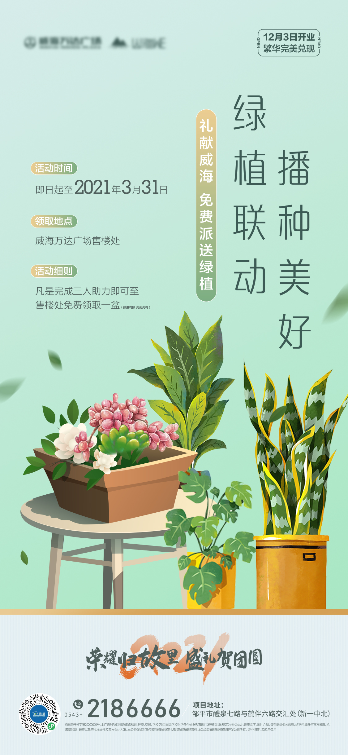 植物海报怎么做图片