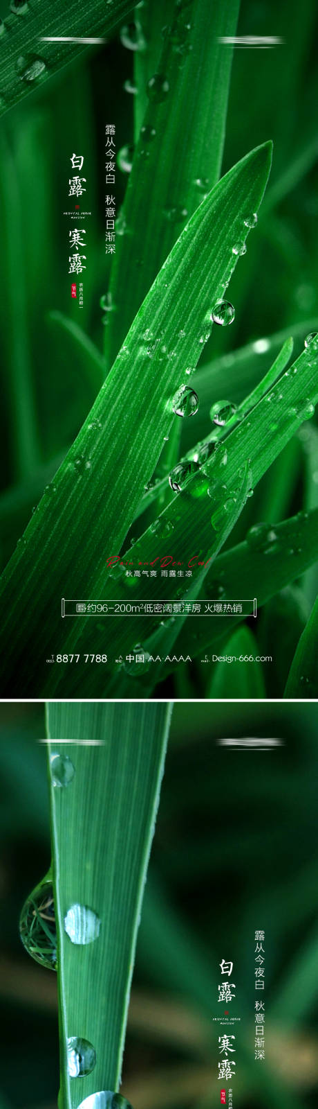 源文件下載【地產白露寒露意境系列海報】編號：36410006056291799