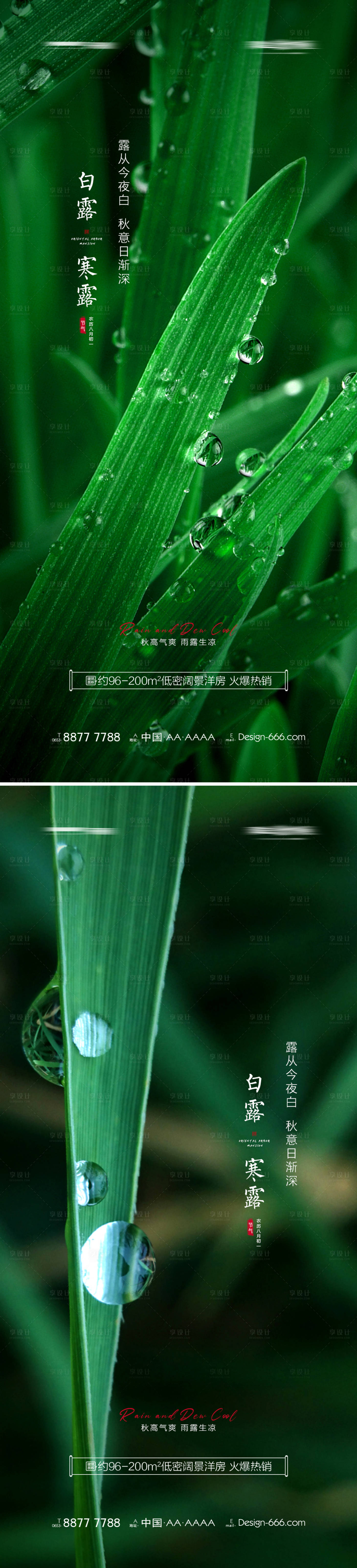 源文件下載【地產白露寒露意境系列海報】編號：36410006056291799