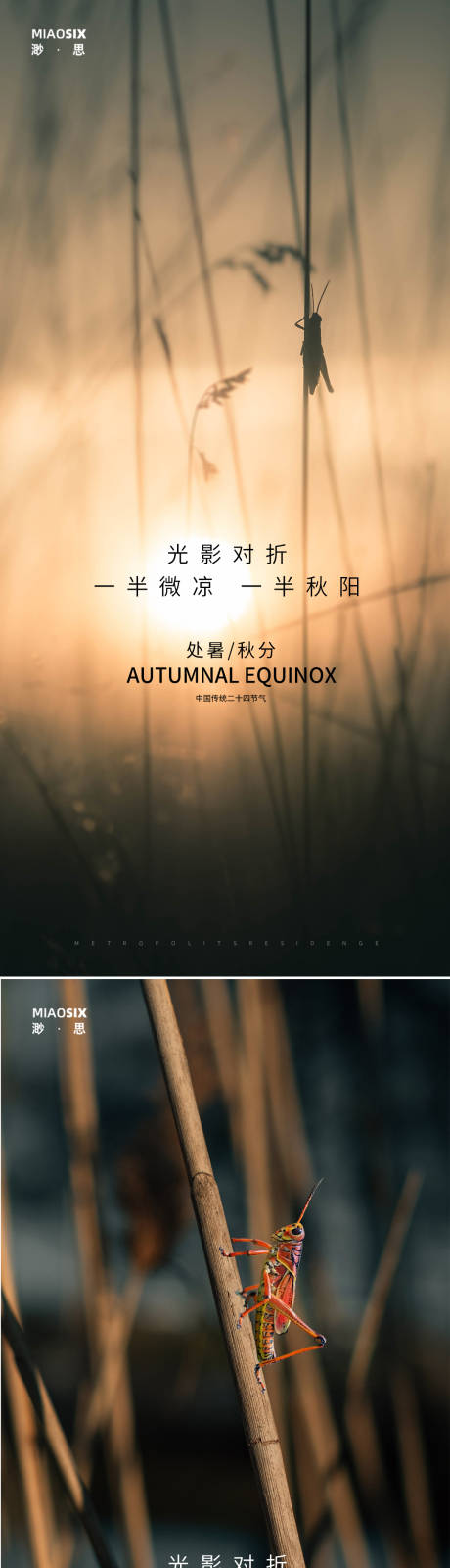 源文件下载【秋分处暑微信朋友圈海报】编号：66590005928452942