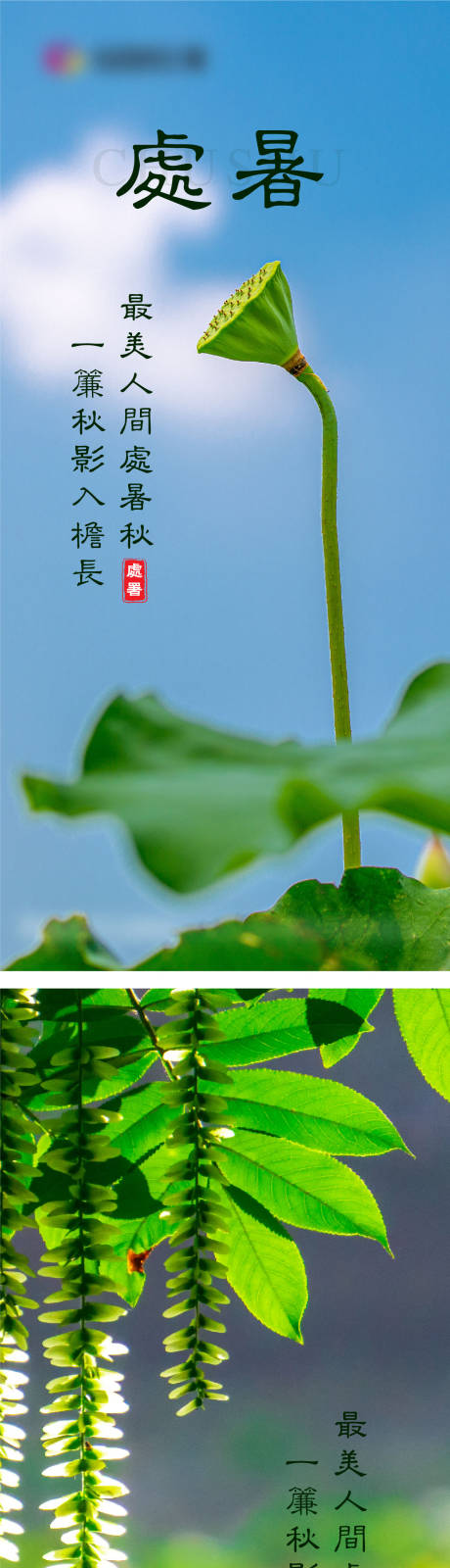 源文件下载【处暑节气系列海报】编号：54690006087137087
