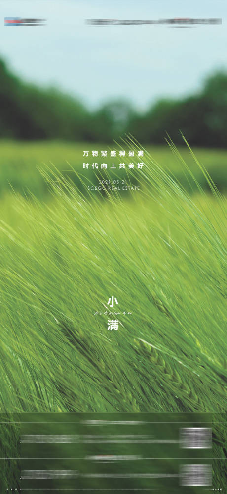 源文件下载【二十四节气小满】编号：46620005832824493