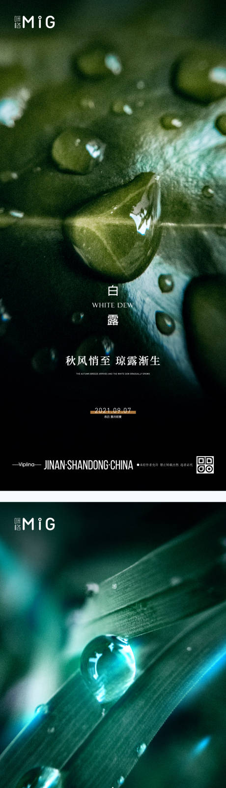 源文件下載【白露節氣海報】編號：16790006249933853