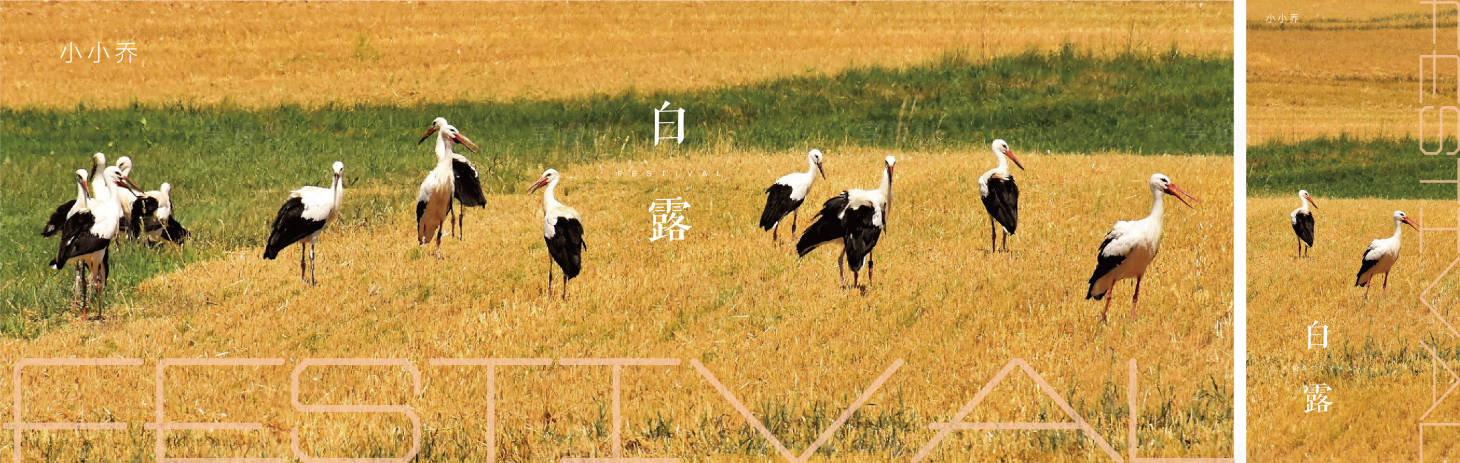 源文件下载【享设计】搜索编号：17730006100744067【白露节气海报】
