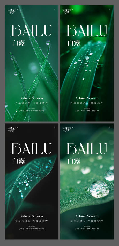 源文件下载【二十四节气白露系列海报】编号：53110006261387039