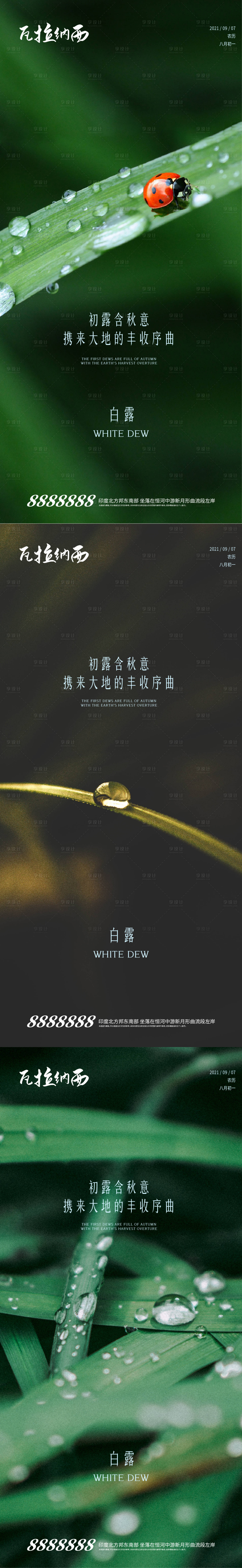 源文件下载【白露节气海报系列】编号：19260006241919919