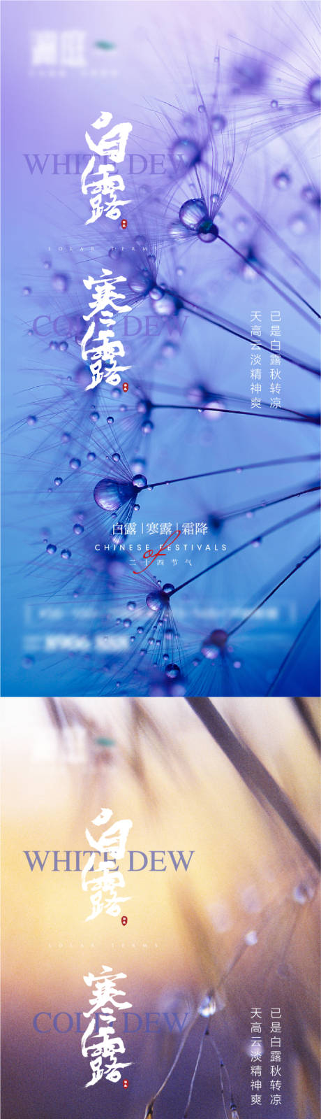 源文件下载【享设计】搜索编号：90130006020999615【白露寒露霜降节气系列海报】