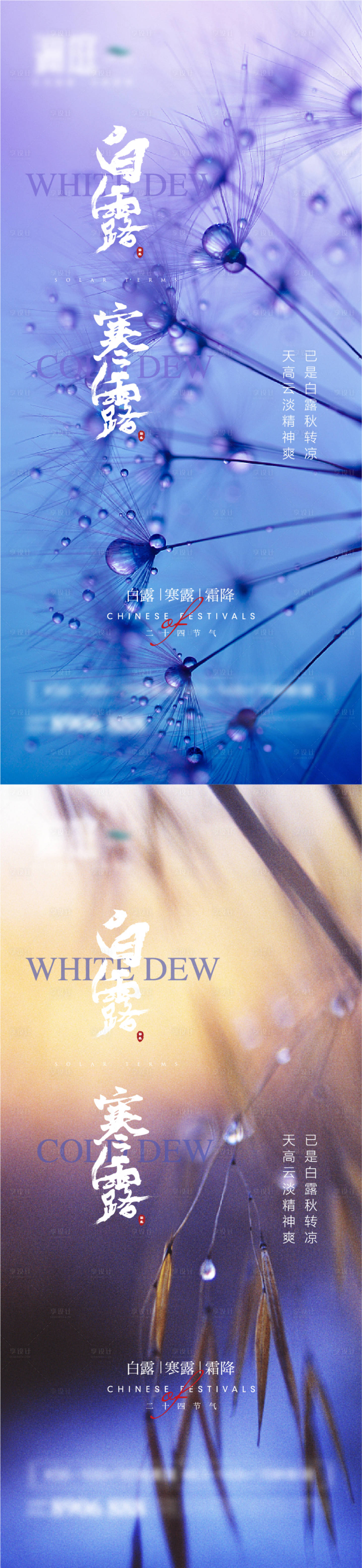 源文件下载【享设计】搜索编号：90130006020999615【白露寒露霜降节气系列海报】