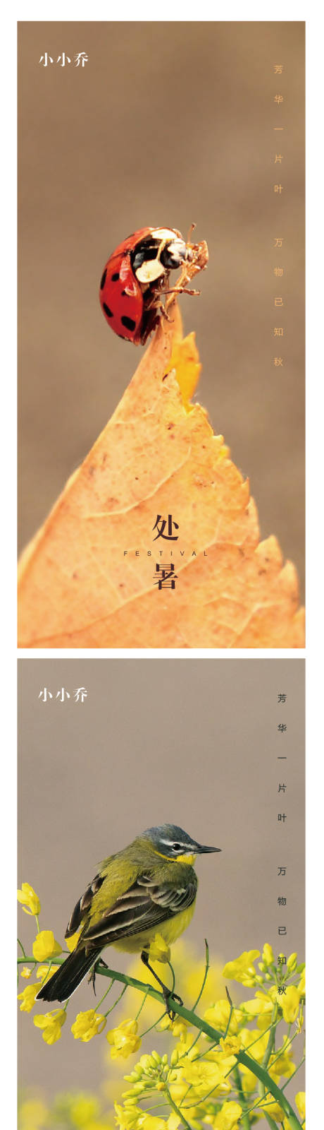 源文件下载【享设计】搜索编号：54790006056183745【处暑 】