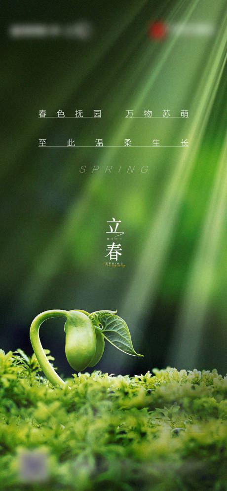 源文件下载【立春节气海报】编号：15970006275221949
