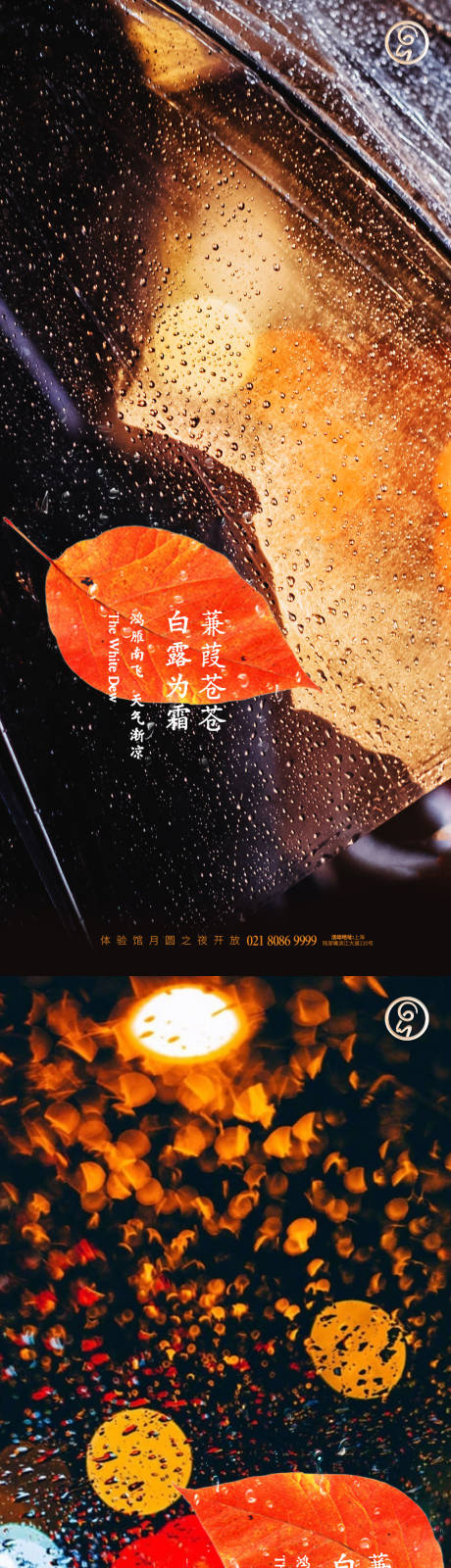 源文件下載【享設計】搜索編號：66140006276153204【白露節氣系列海報】