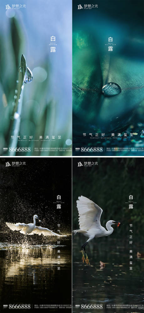 源文件下載【享設計】搜索編號：61130005870307386【白露系列海報】