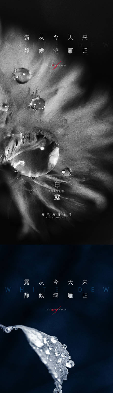 源文件下载【白露节气海报】编号：20210825113016681