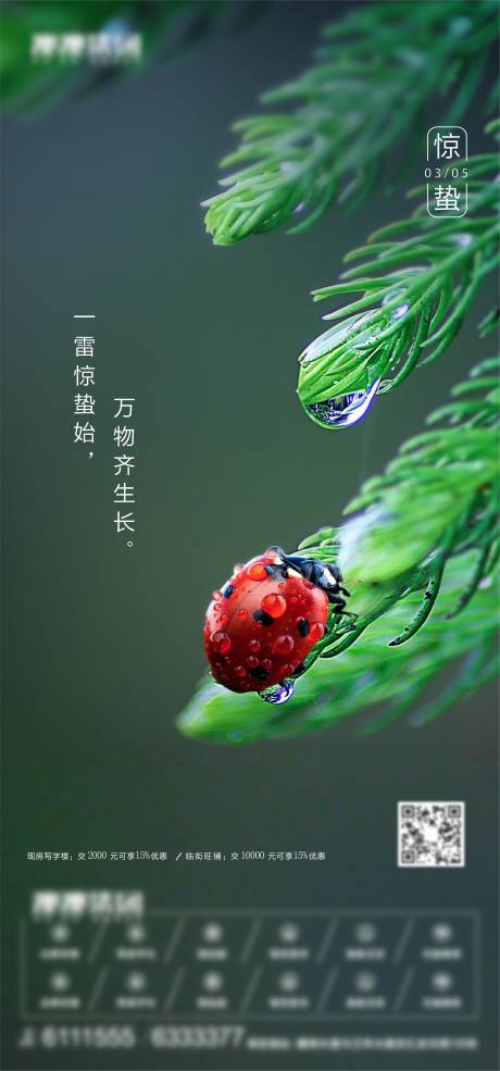 源文件下载【惊蛰海报】编号：63390005857133705