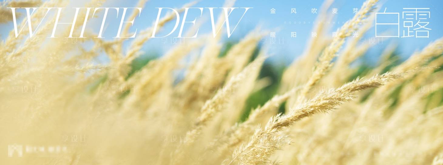 源文件下载【享设计】搜索编号：21480006067619504【白露节气海报】