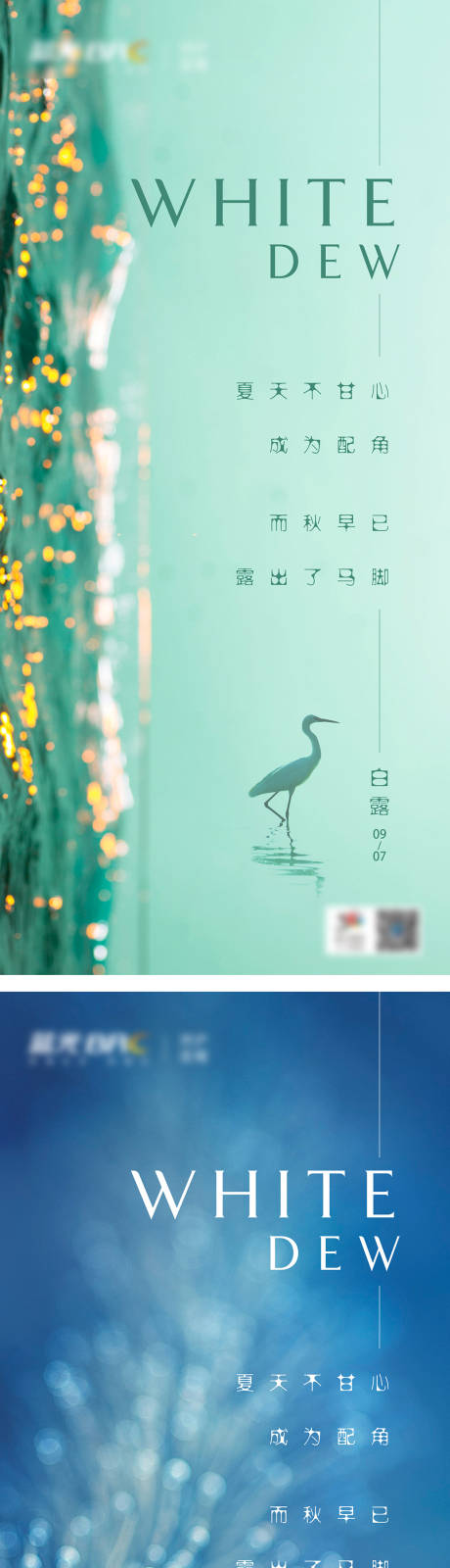 源文件下载【白露海报】编号：20210805151139424