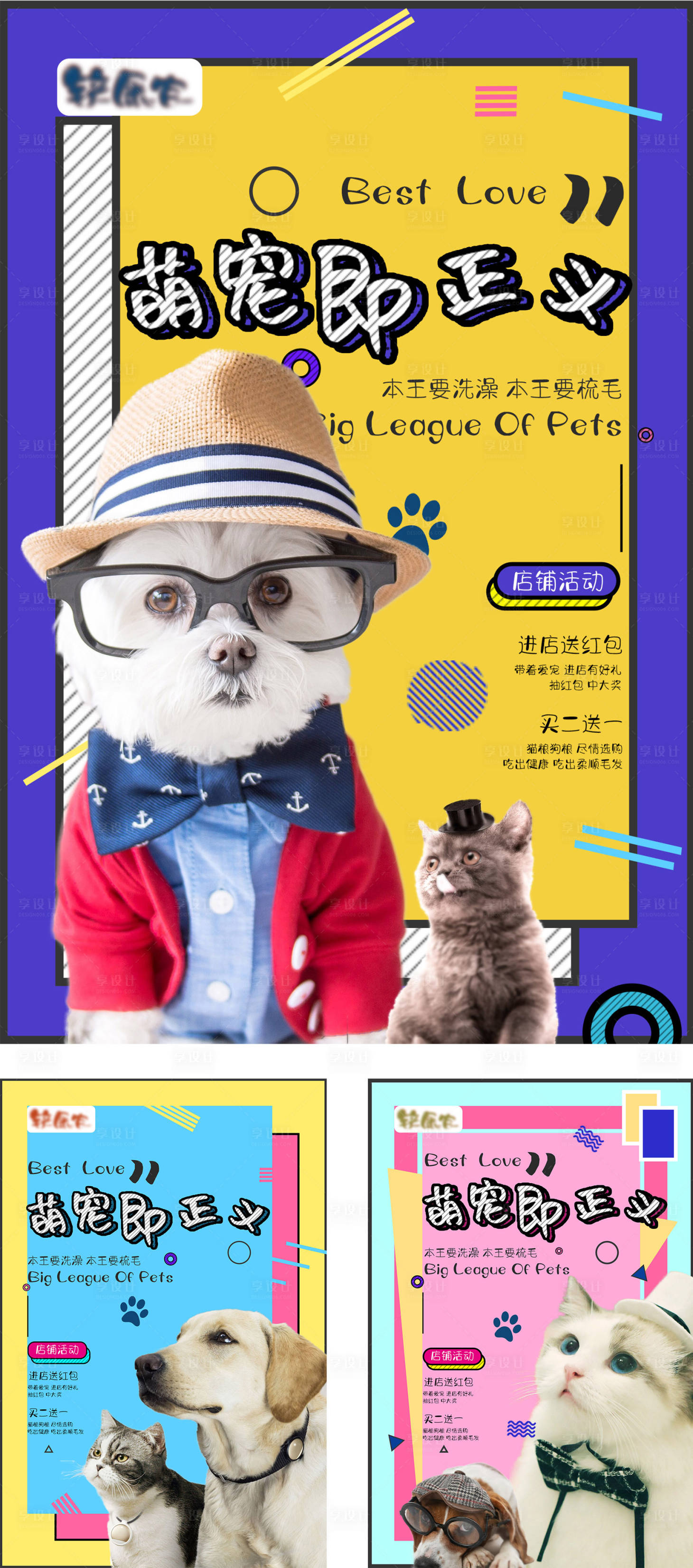 源文件下载【享设计】搜索编号：16130006195255492【宠物宣传系列海报】