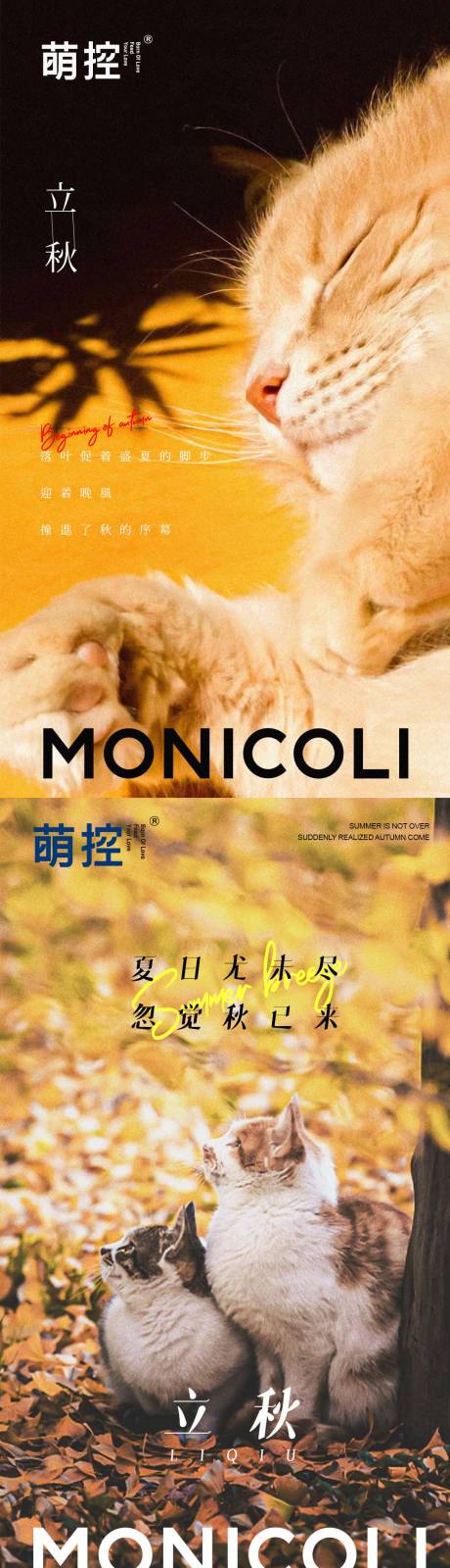 源文件下載【享設計】搜索編號：20310005848546841【寵物貓品牌立秋節氣海報】
