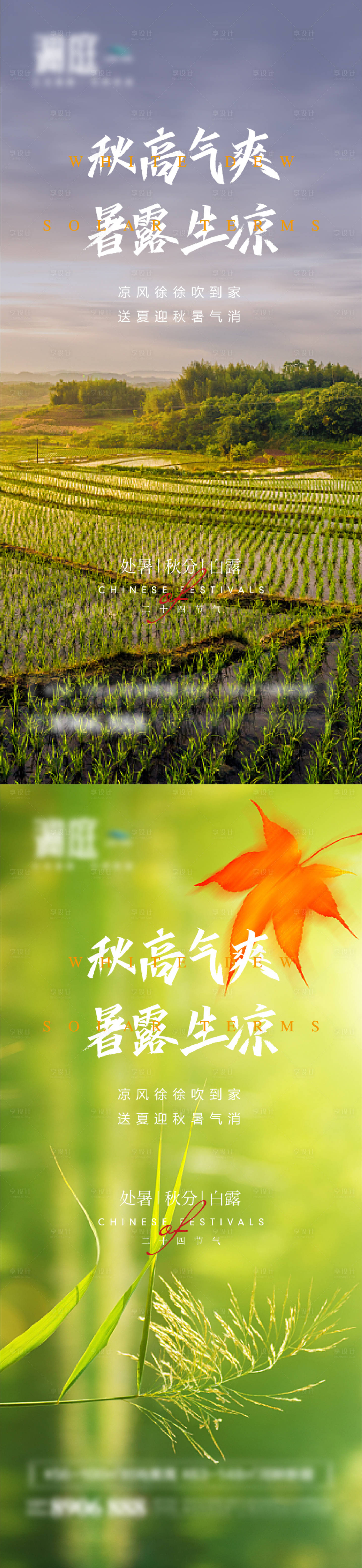 源文件下载【处暑白露秋分节气海报】编号：44280006034408691