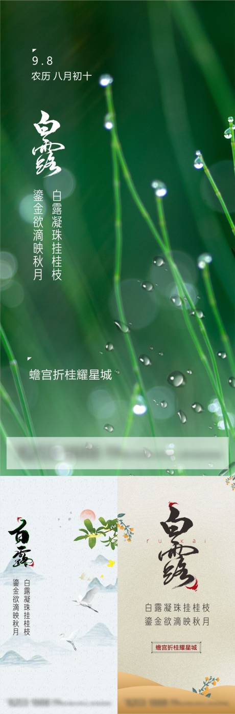 源文件下载【享设计】搜索编号：84500006214069116【白露节气系列海报】