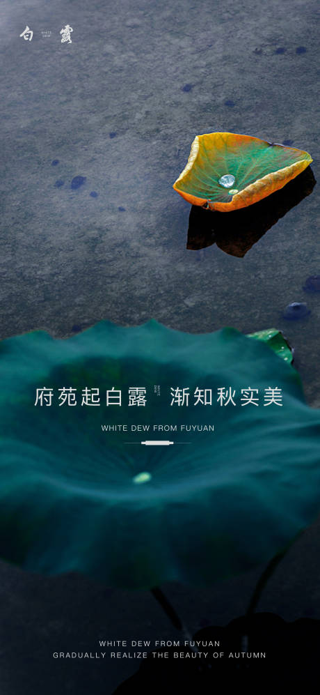 源文件下载【白露节气海报】编号：24290006202929919