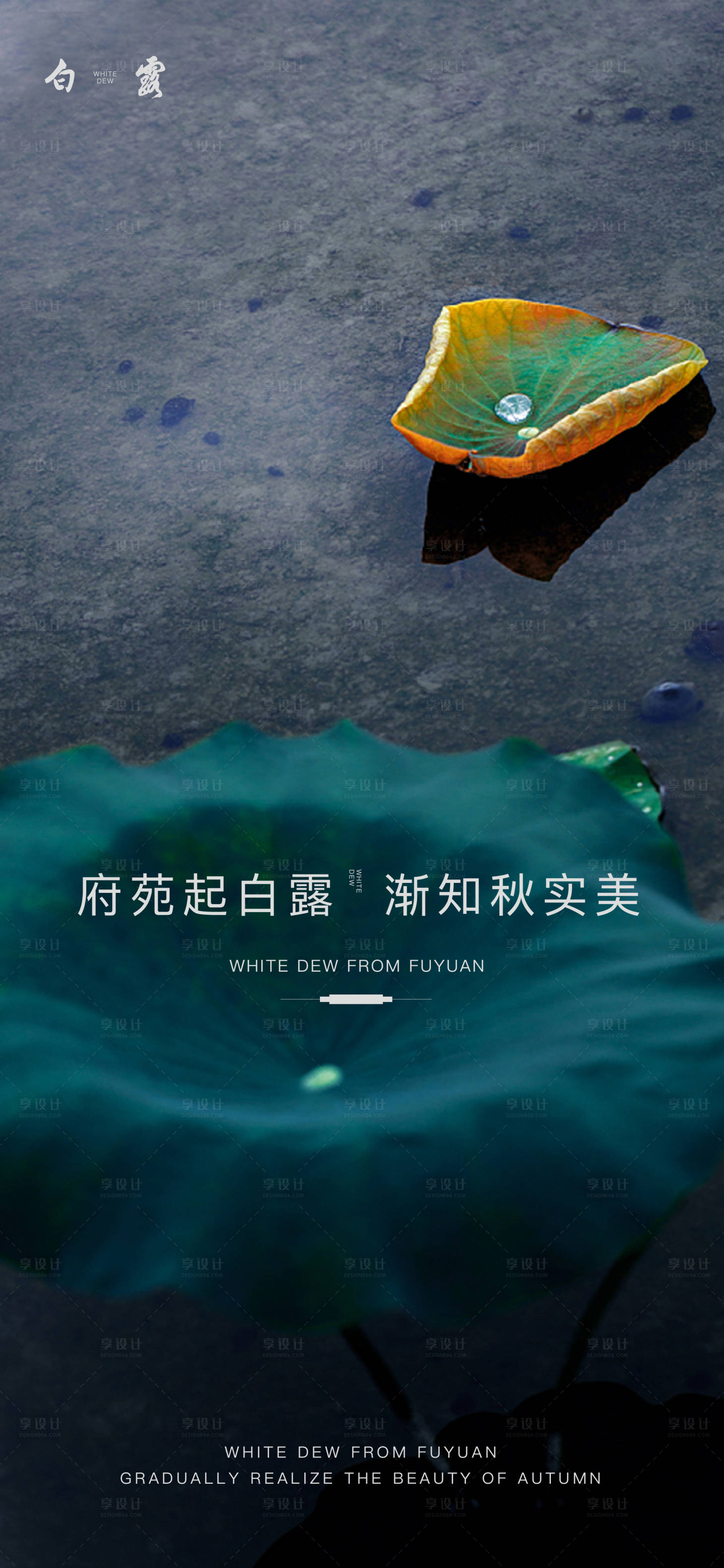 源文件下载【享设计】搜索编号：24290006202929919【白露节气海报】