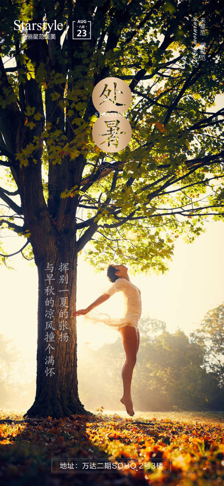 源文件下載【享設(shè)計(jì)】搜索編號(hào)：65340006142959729【醫(yī)美處暑節(jié)氣人物海報(bào)】