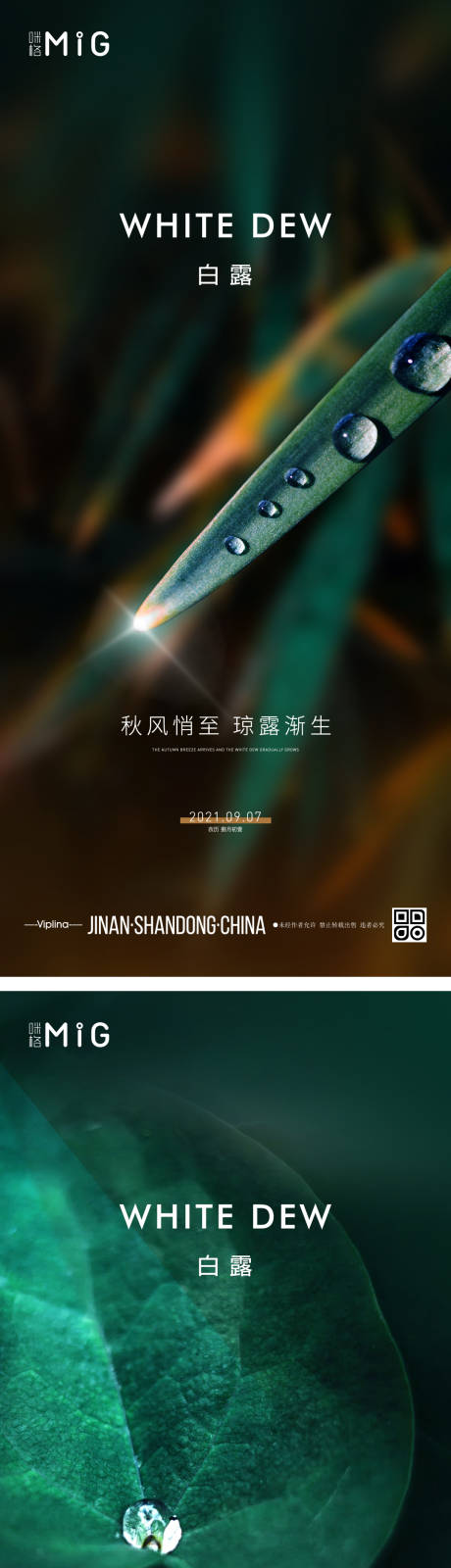 源文件下载【白露系列海报】编号：46410006209358066