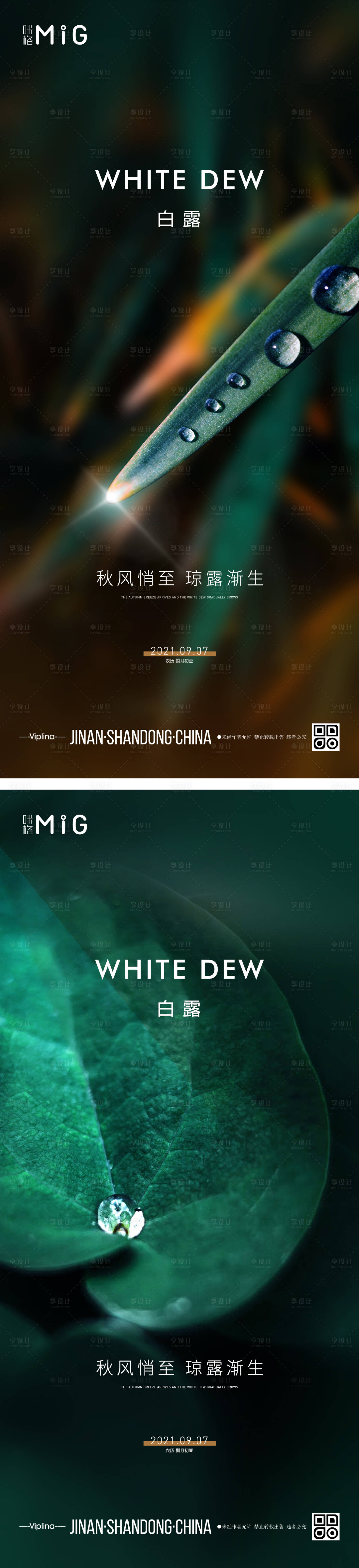 源文件下載【白露系列海報】編號：46410006209358066
