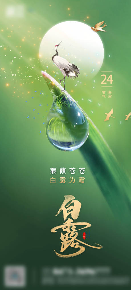 地产白露金秋中式节气海报