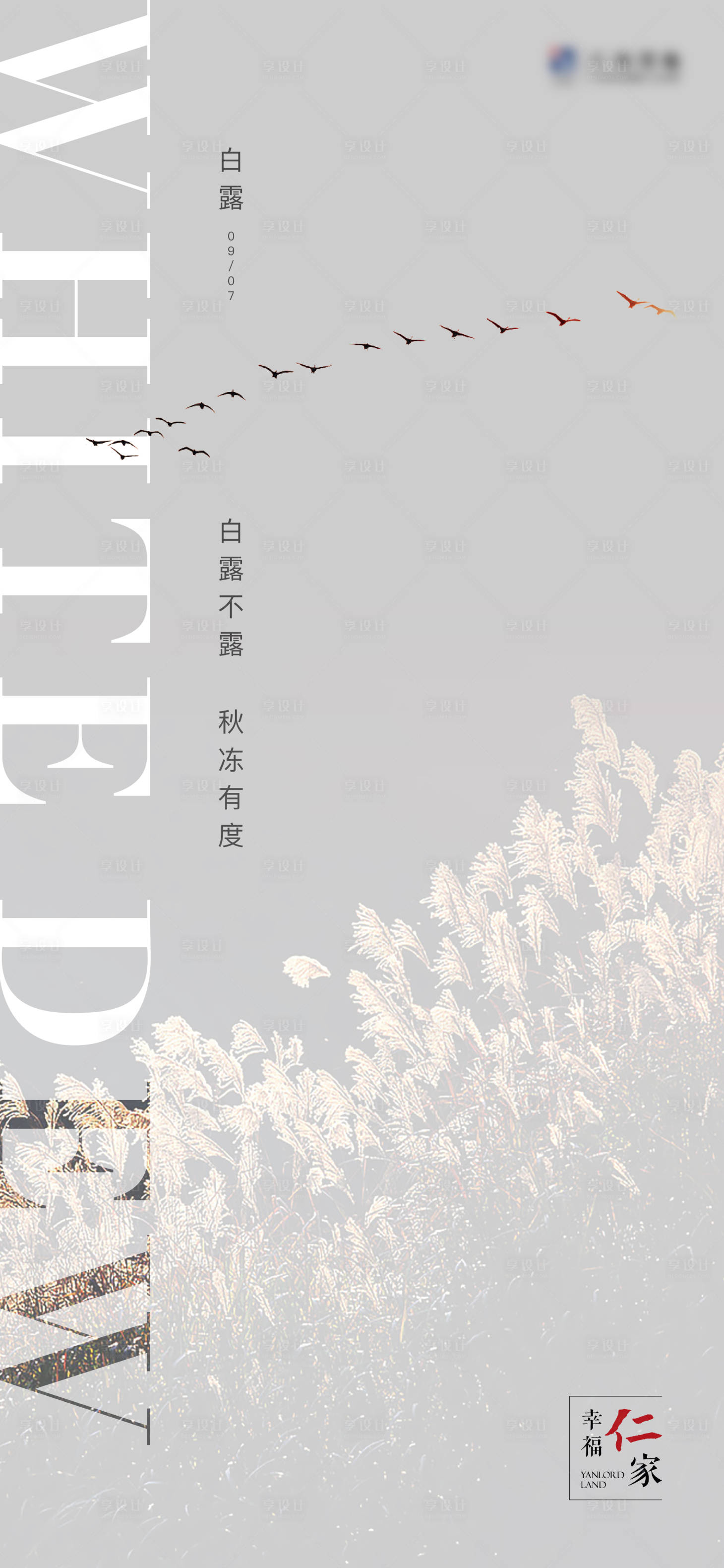 源文件下载【享设计】搜索编号：41660005911373903【白露】