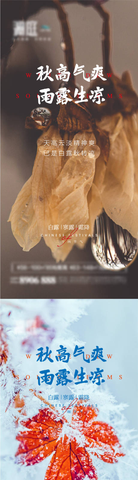 源文件下载【享设计】搜索编号：65610006012061973【白露寒露霜降节气宣传海报】
