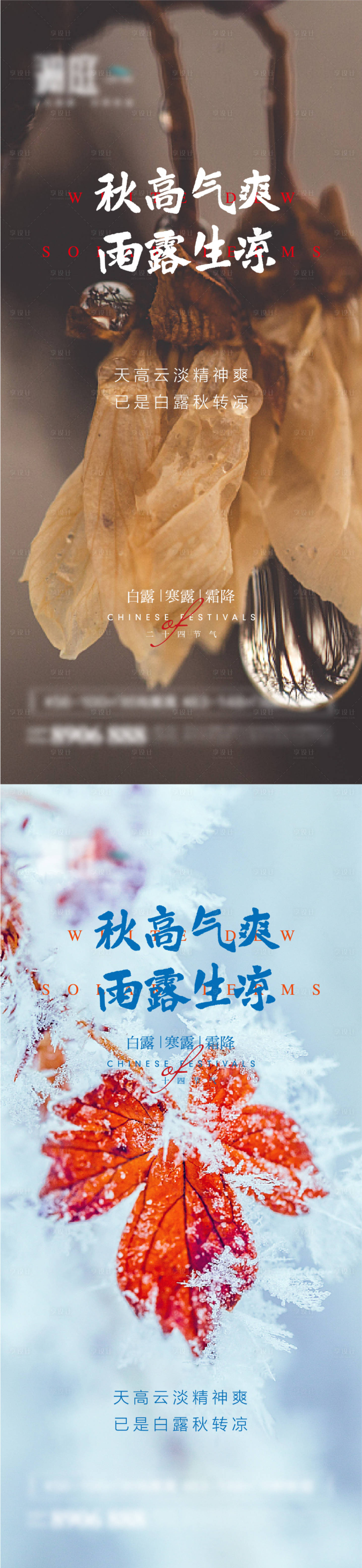 源文件下载【白露寒露霜降节气宣传海报】编号：65610006012061973
