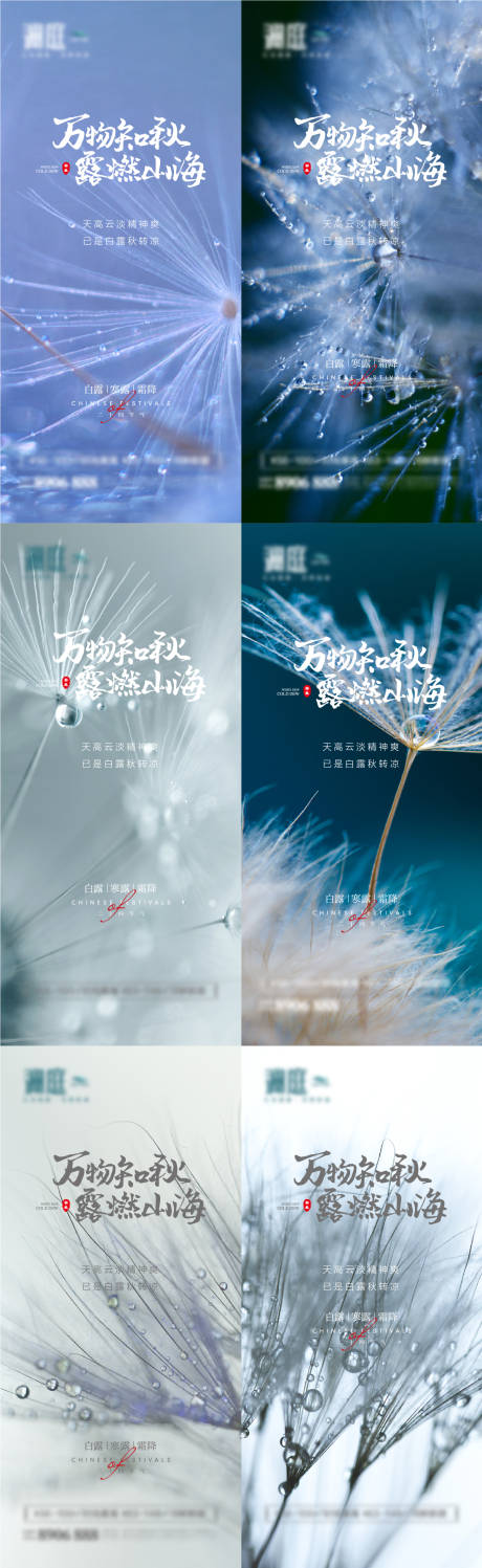 源文件下载【白露寒露霜降节气系列海报】编号：62380006020908395
