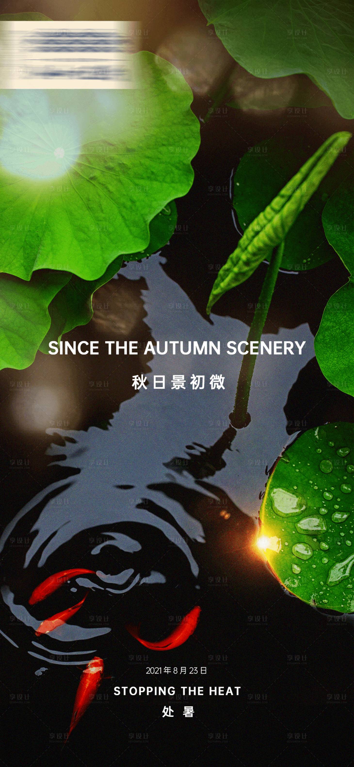 源文件下载【处暑节气移动端海报】编号：47810006132282499