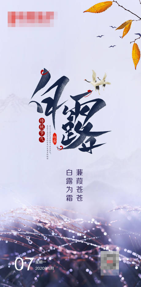 源文件下載【白露節氣海報】編號：50300006274802781