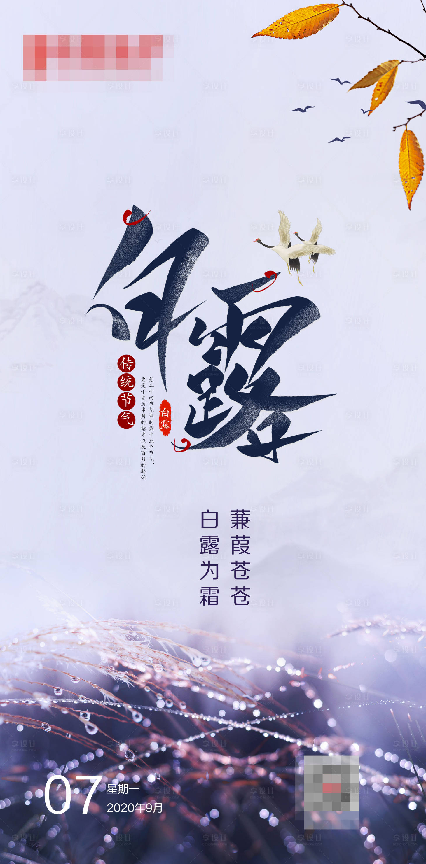 源文件下載【享設計】搜索編號：50300006274802781【白露節氣海報】