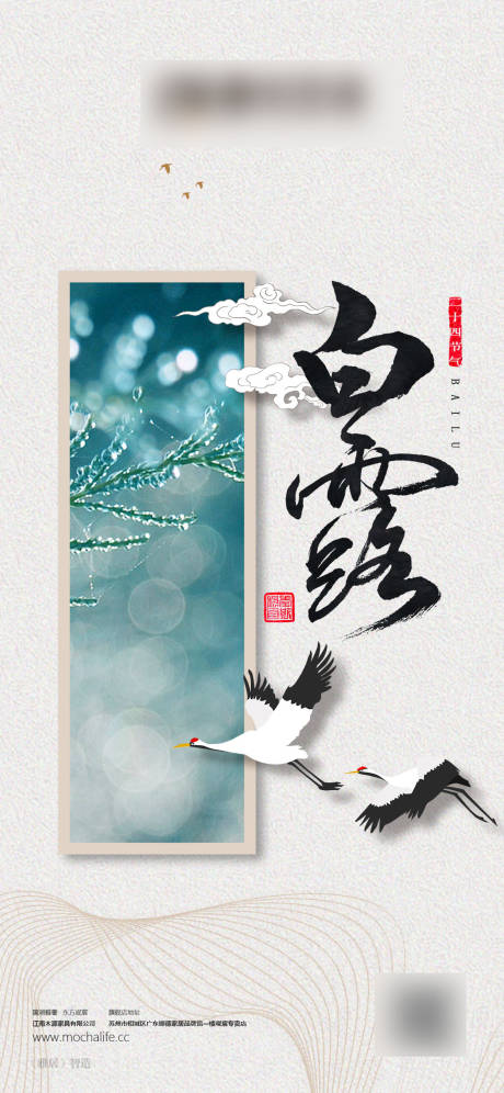 源文件下载【白露海报】编号：84000006051841225