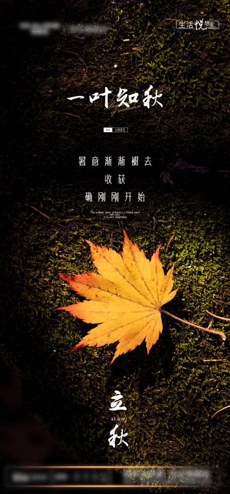 源文件下载【立秋节气海报】编号：98050005904305765