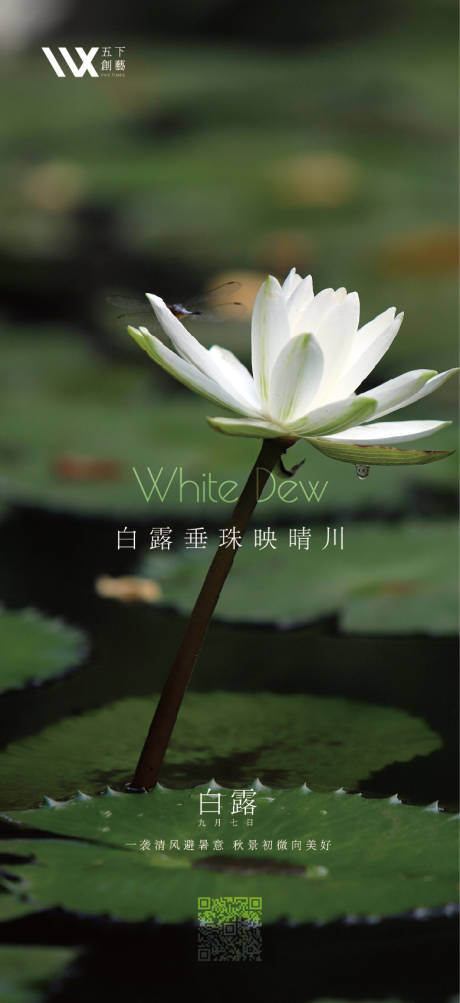 源文件下载【享设计】搜索编号：12440006202391458【白露节气海报】