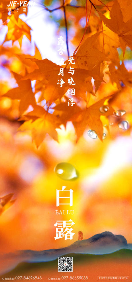 源文件下载【白露地产简约大气枫叶秋天意境实景海报】编号：45810006219936897