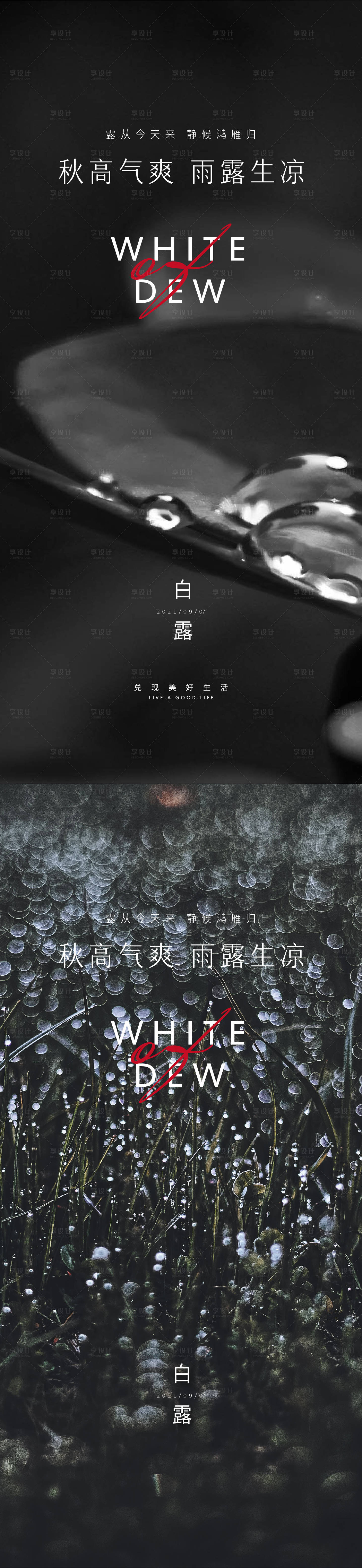 源文件下載【白露節氣系列海報】編號：37450006193635589